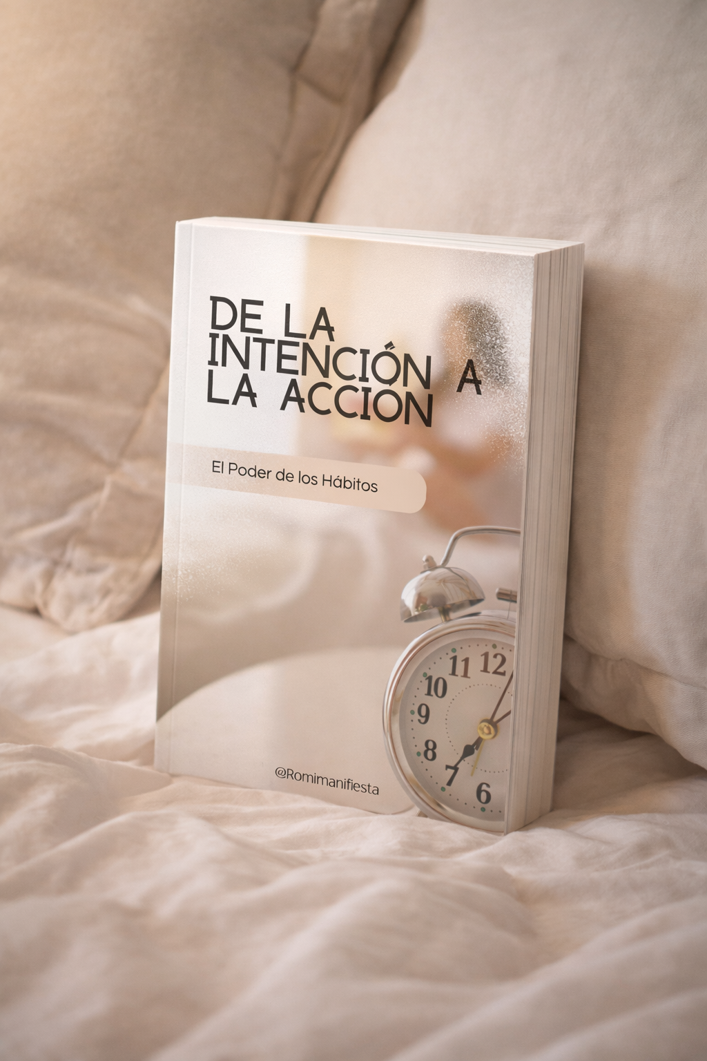 Libro PLR De la intención a la acción